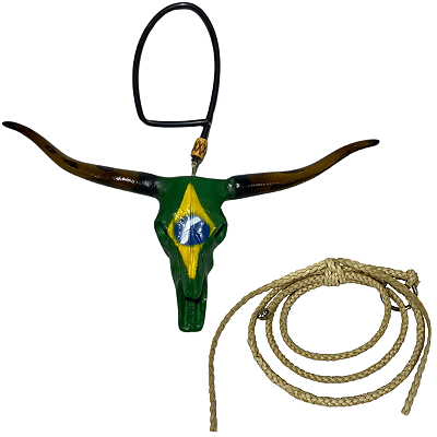 Enfeite De Retrovisor Long Horn + Mini Laço